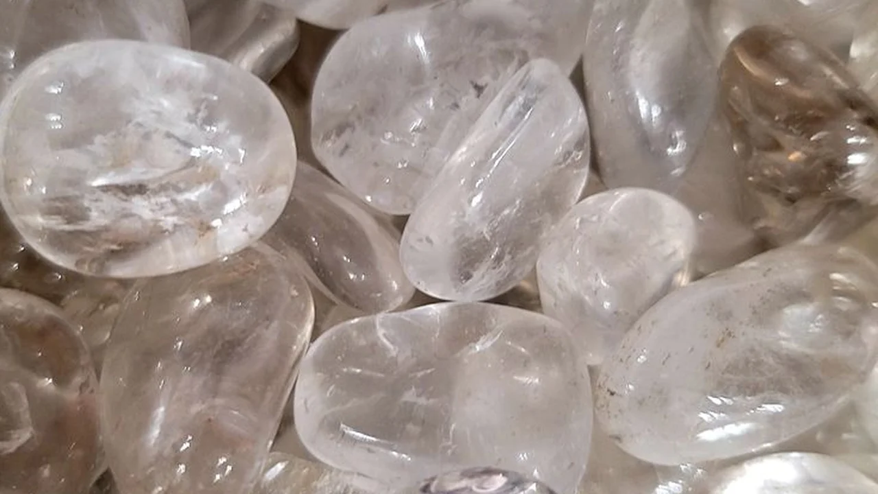 pork chops with cream sauce